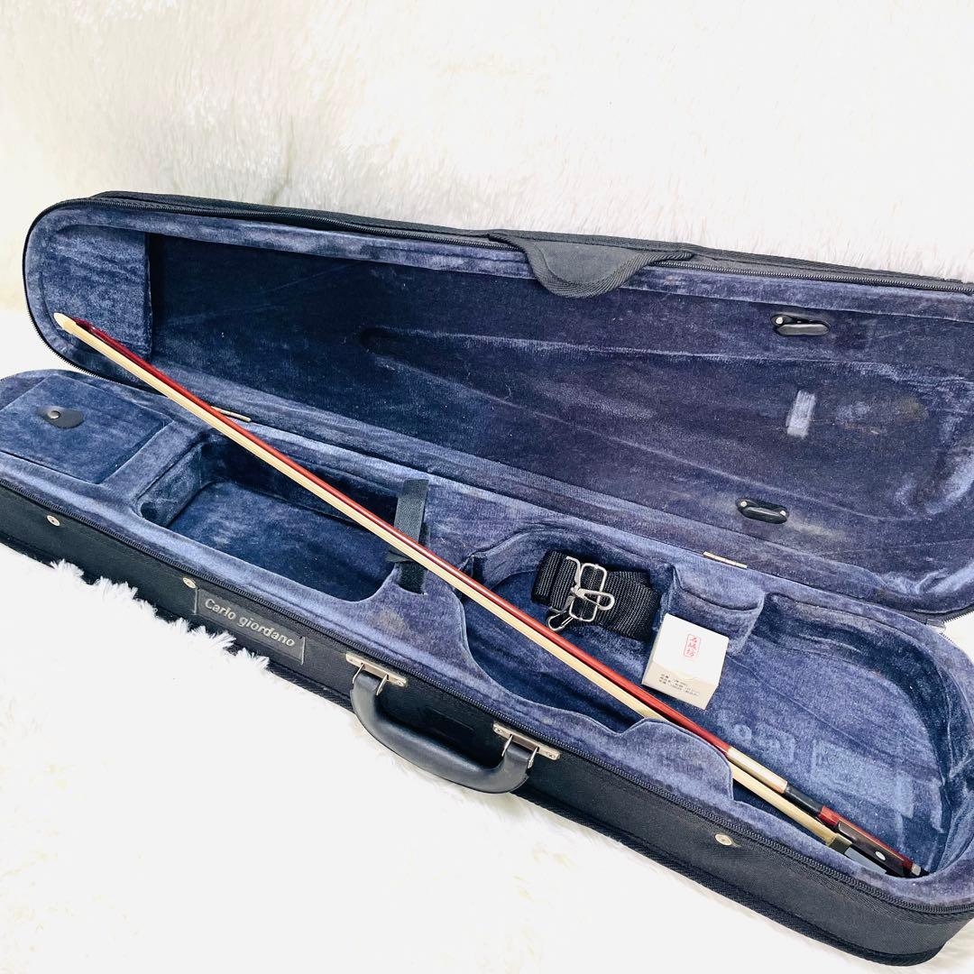 カルロジョルダーノ EV-201 赤 超美品 ケース弓付 エレキバイオリン