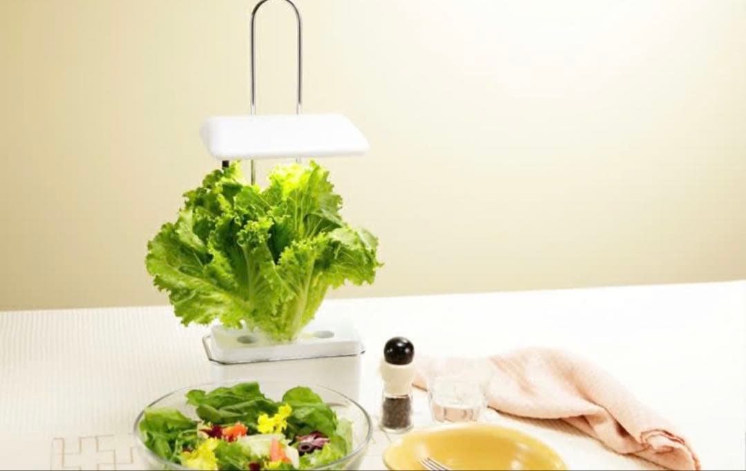 【新品未開封2個】OLYMPIA LED植物栽培機 「Akarina15」