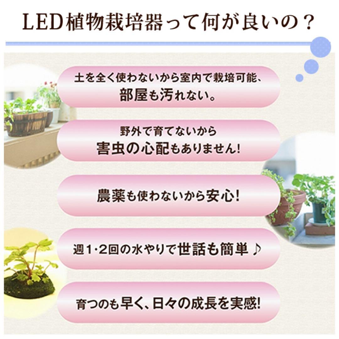 【新品未開封2個】OLYMPIA LED植物栽培機 「Akarina15」