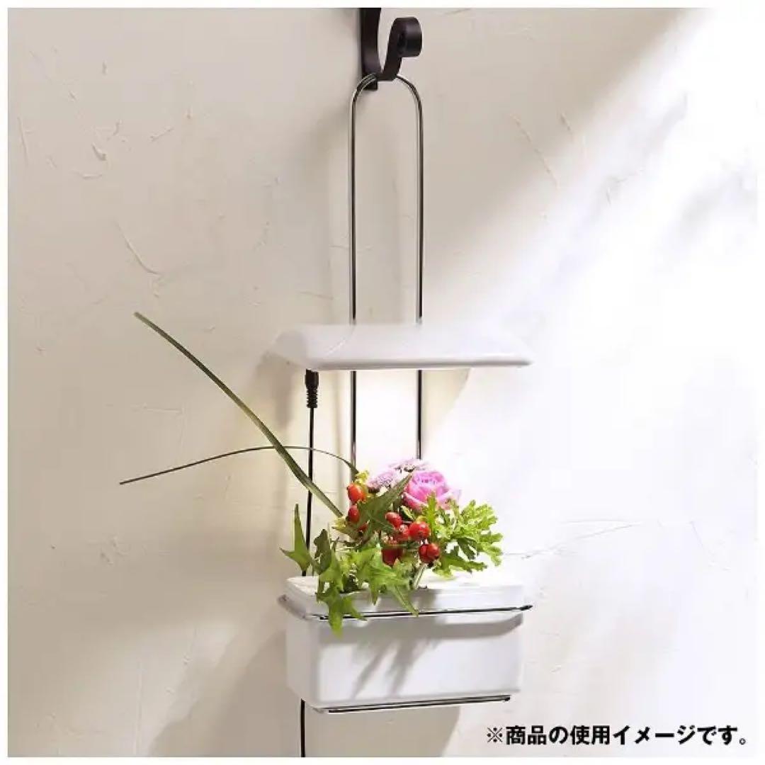 【新品未開封2個】OLYMPIA LED植物栽培機 「Akarina15」