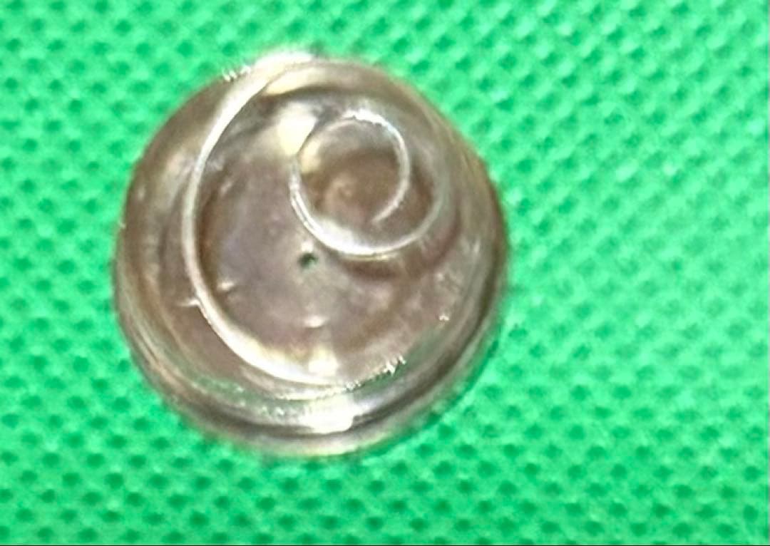 FUJICA V2 レンジファインダーカメラ　実写作例あり