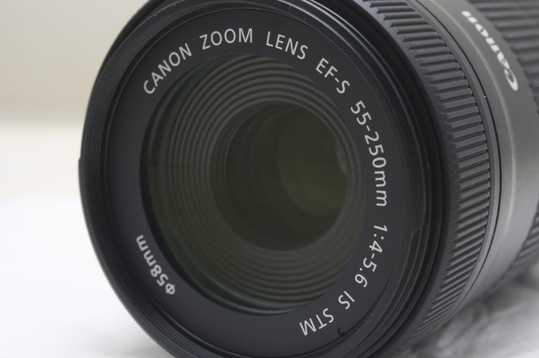 キヤノン EF-S 55-250mm F4-5.6 IS STM 9012