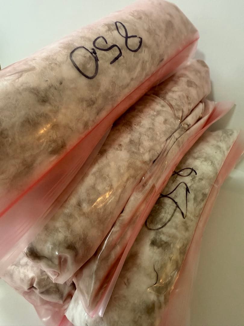 850フィルパワー ダウン