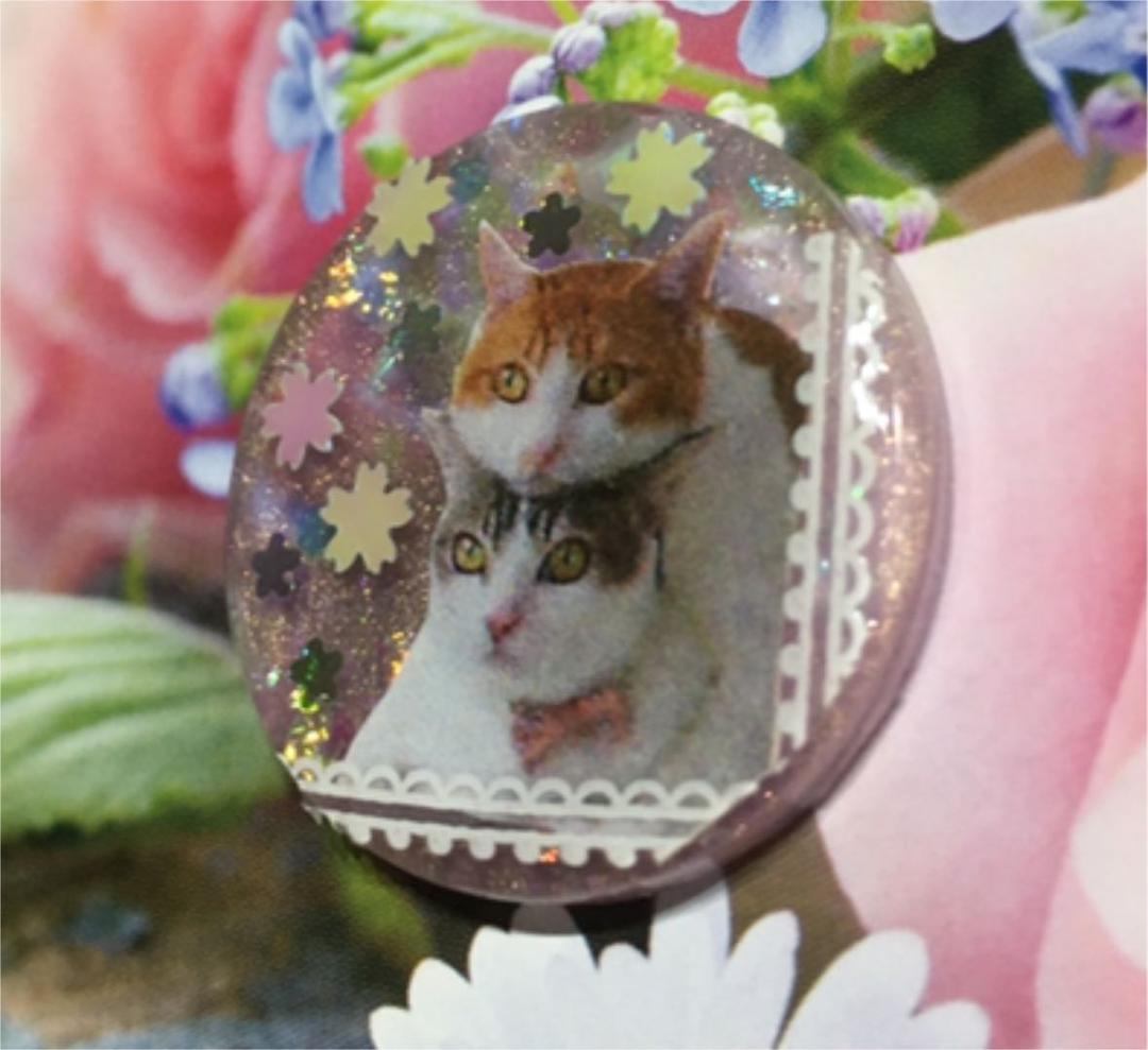 レジンヘアゴム、猫ちゃん探偵（⚯）見ろ！あの引き出しにはおやつが入ってるんだ！