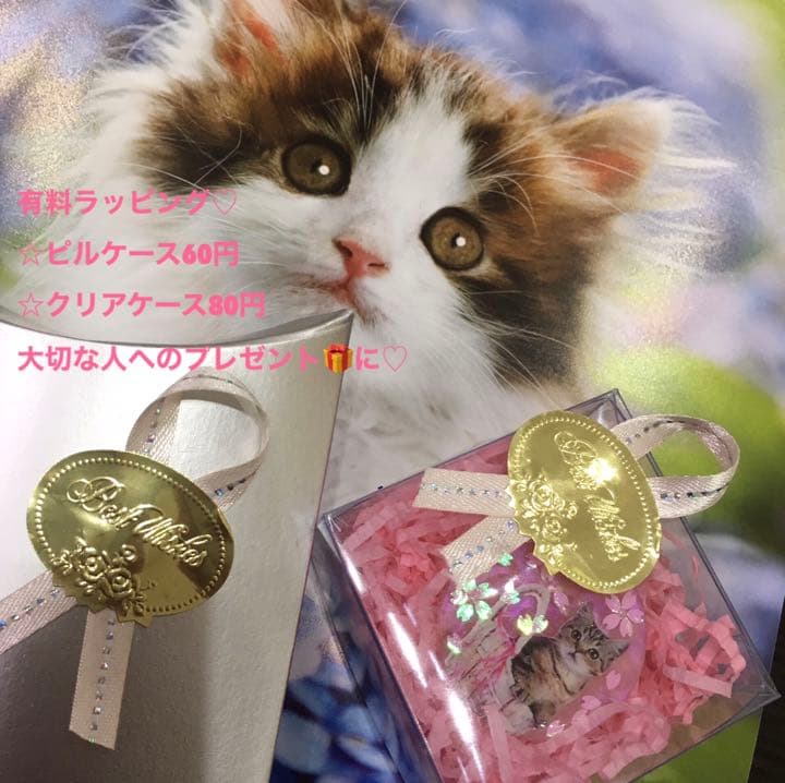 レジンヘアゴム、猫ちゃん探偵（⚯）見ろ！あの引き出しにはおやつが入ってるんだ！