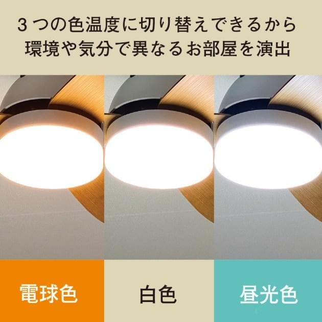 REUDO シーリングファンライト CFLLWH-3NA