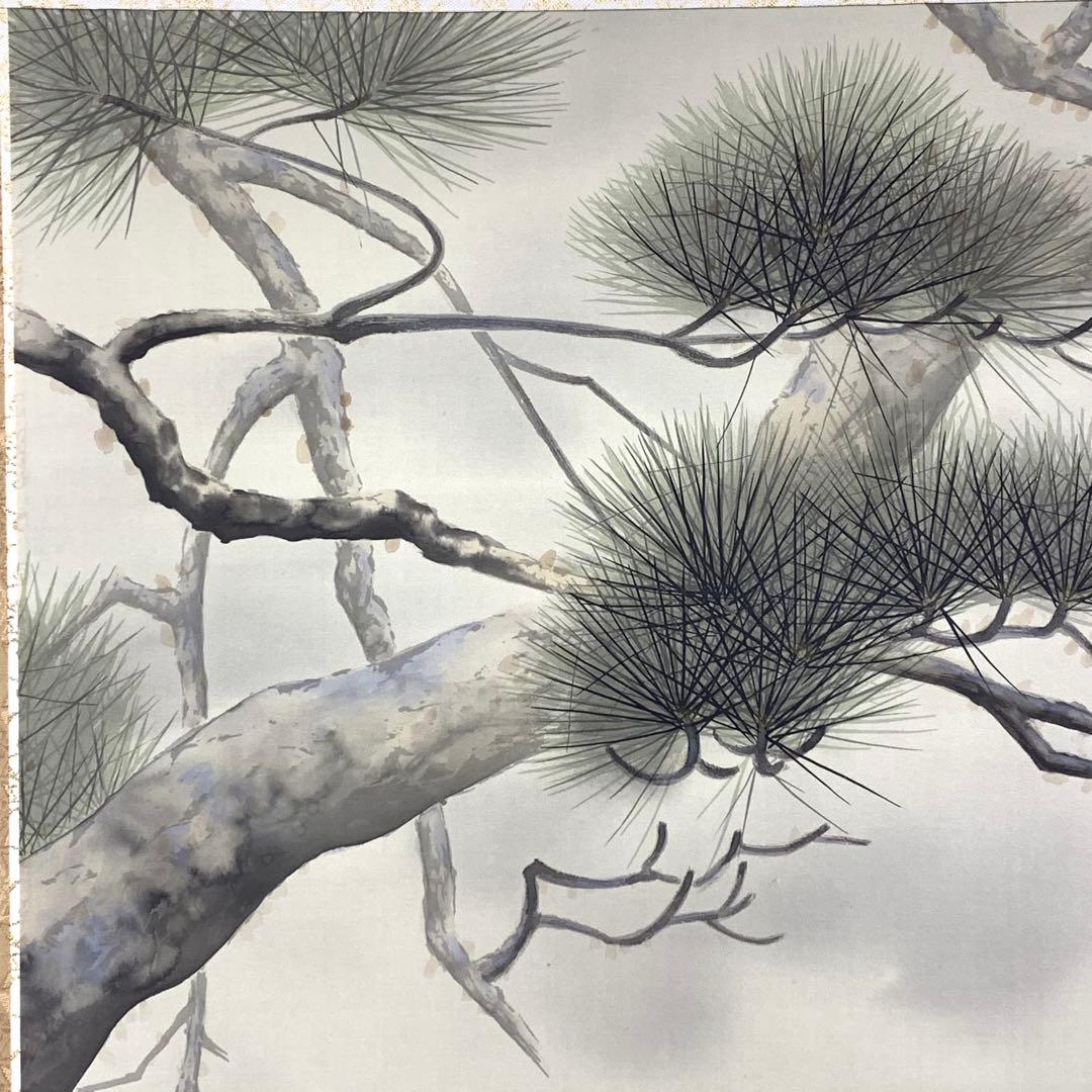 掛軸 斉藤栄昌 松に鷹 共箱 二重箱 花鳥図 無病長寿 繁栄 縁起物 E-6