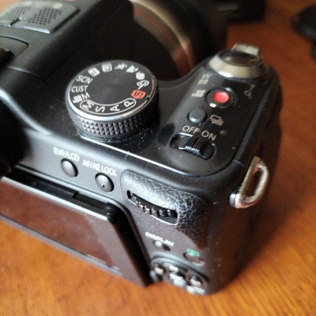 PANASONIC LUMIX FZ100 美品　バッテリー充電器付き
