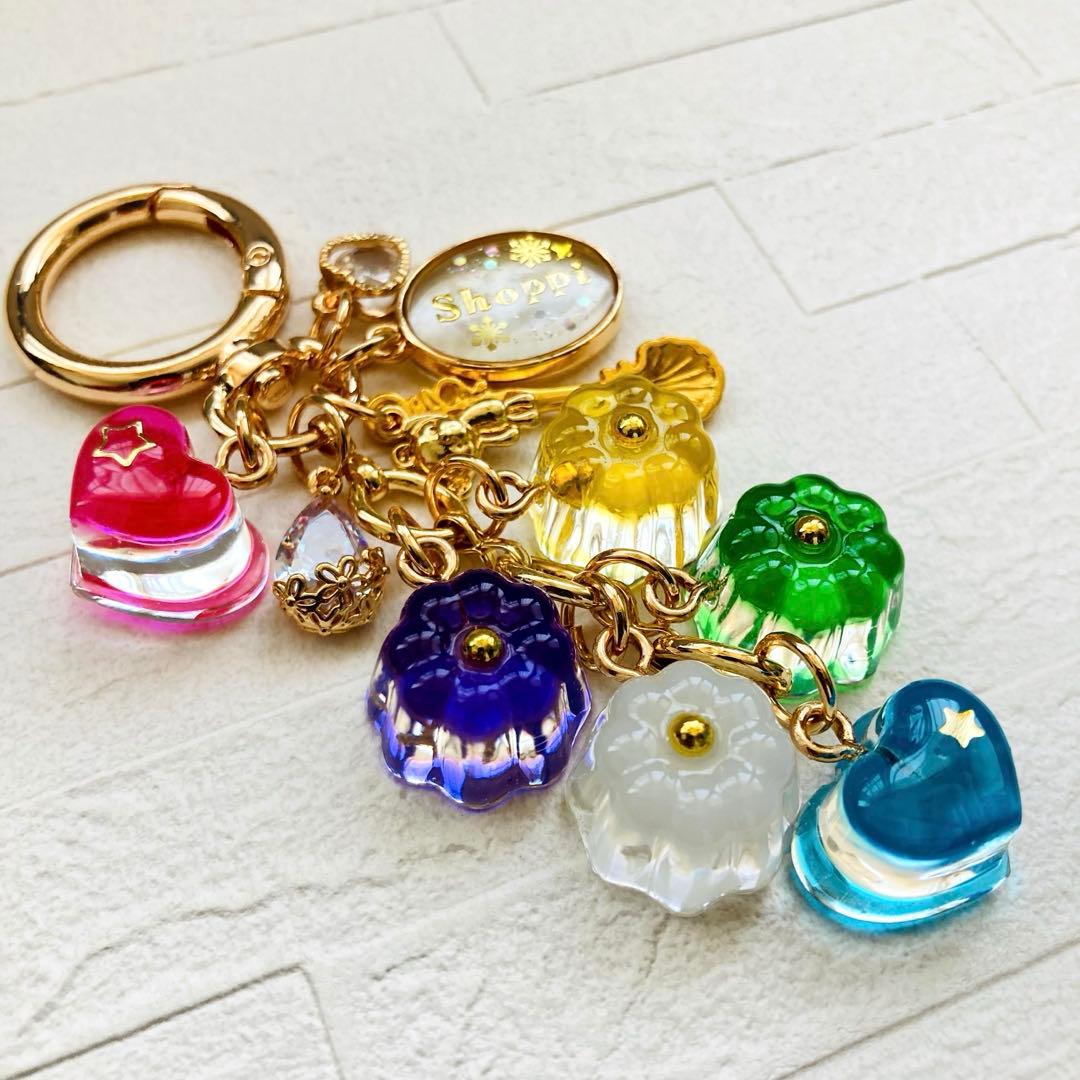 S☆Mページ　名入れチャーム レジンキーホルダー 5点