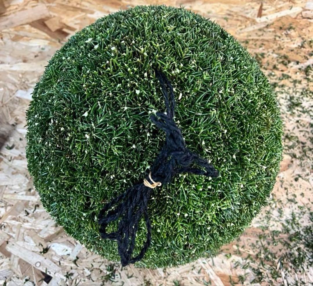 杉玉　約30センチ‼️縁起物　丸くて幸せ　家族円満♪