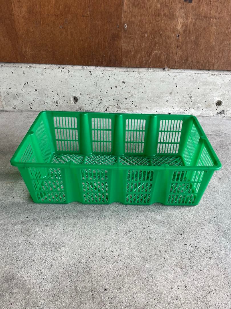 オクラ収穫用コンテナ