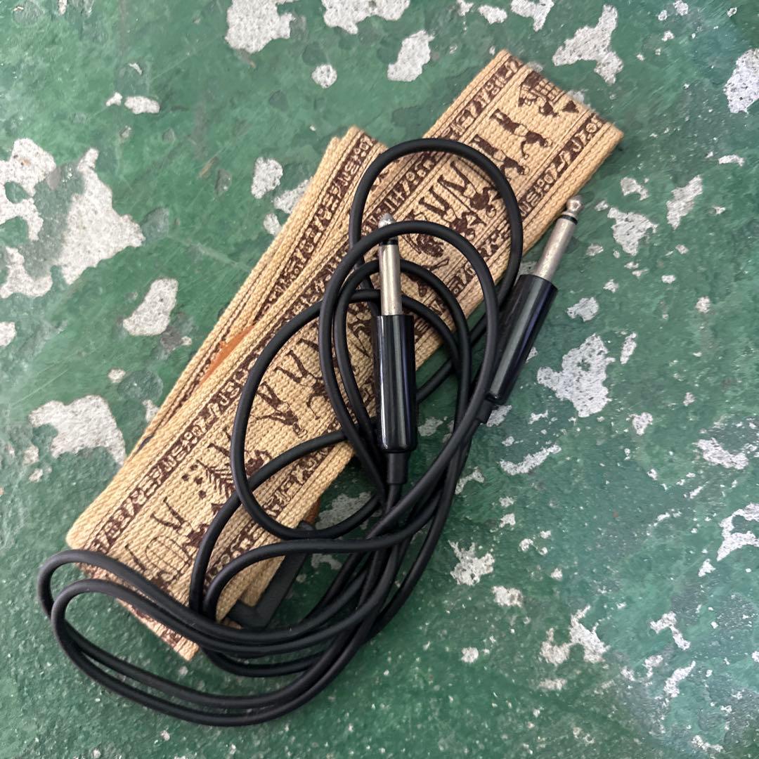 A*p様 FRS エレキギター 黒 ギターケース付き 弦楽器 音楽 ミュージック