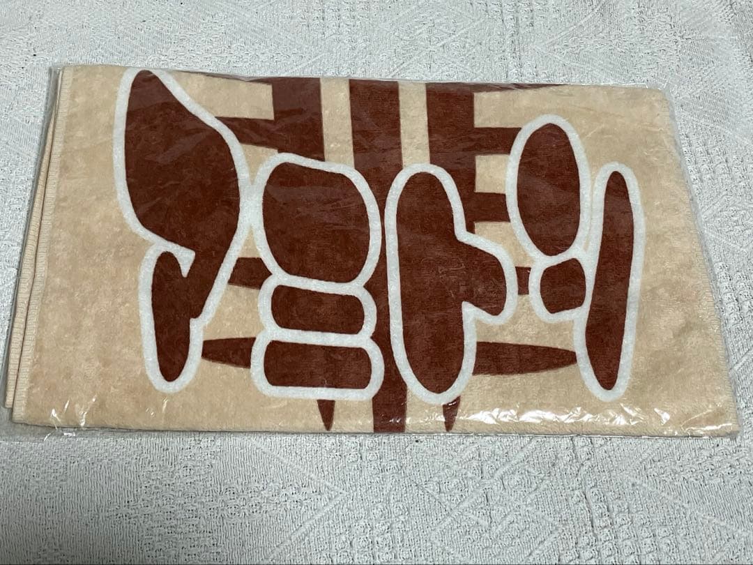 中川翔子　しょこたん　グッズと会報セット