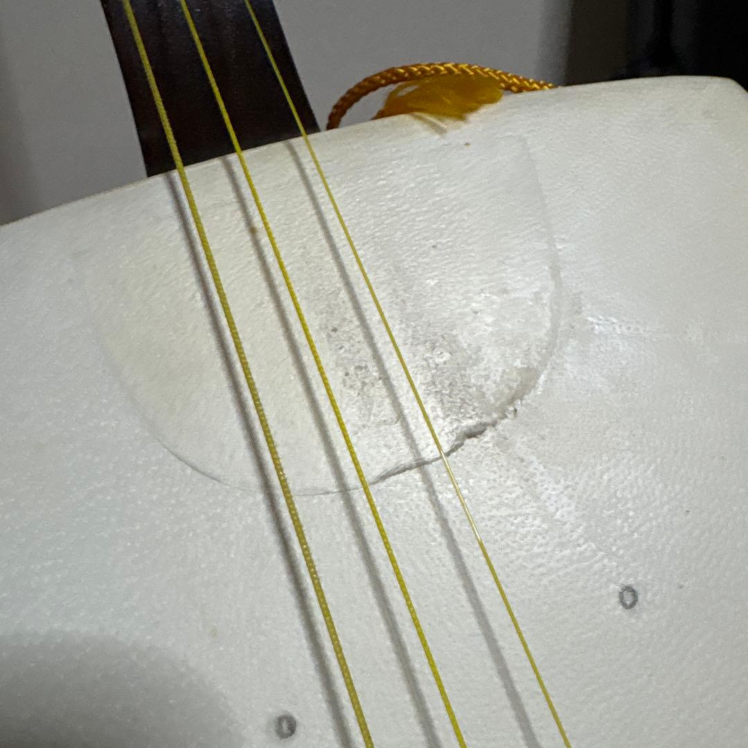 三味線　バチ　三絃駒　木製ハードケース 　和楽器　弦楽器　ケースカバー