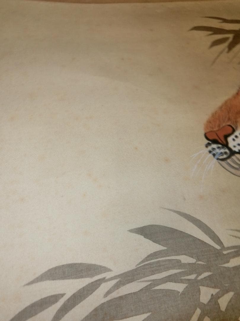 ㉚虎 日本画 桂堂画 掛け軸