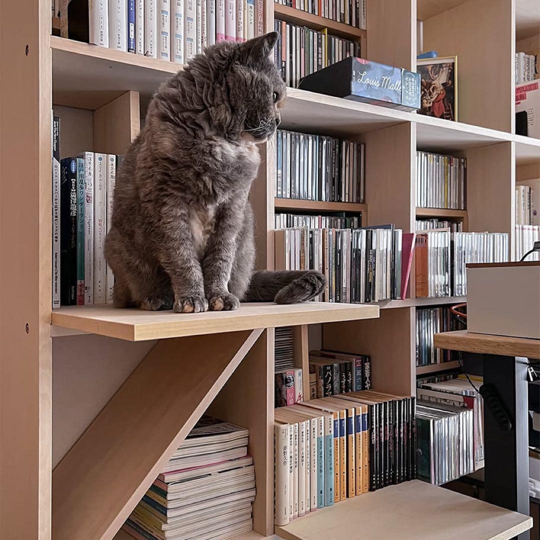 マルゲリータシェルフ 猫ステップ 幅1コマ用 奥行350mm専用