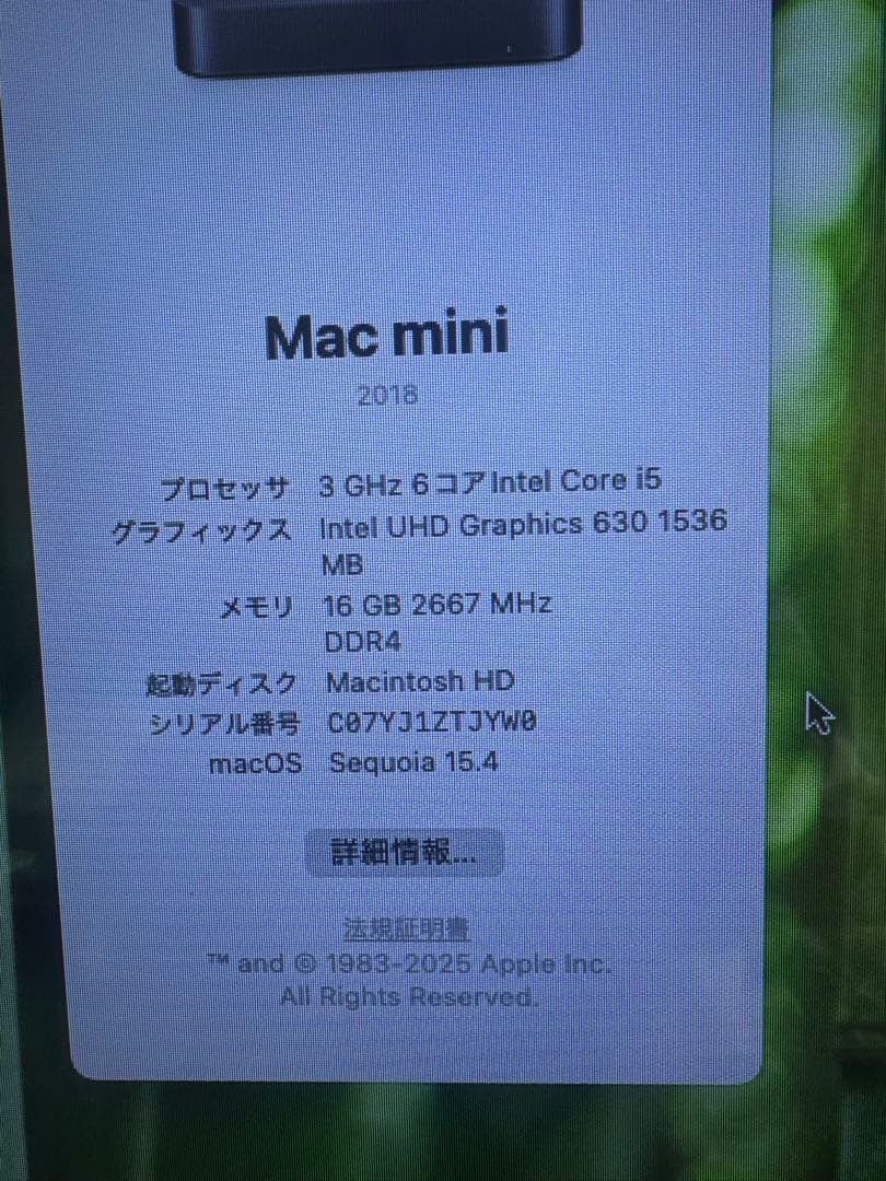スマホ・タブレット・パソコン APPLE Mac mini MAC MINI MGEN2J/A