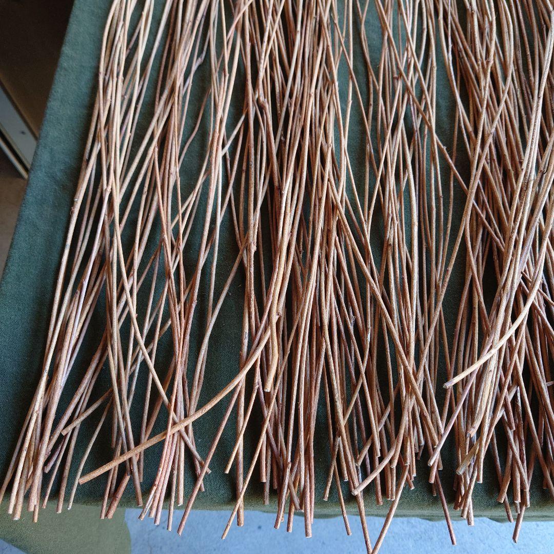 アケビの蔓(根蔓ランナー）