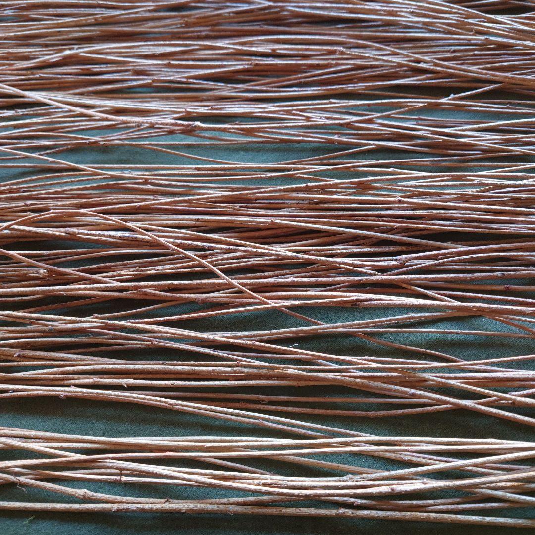 アケビの蔓(根蔓ランナー）