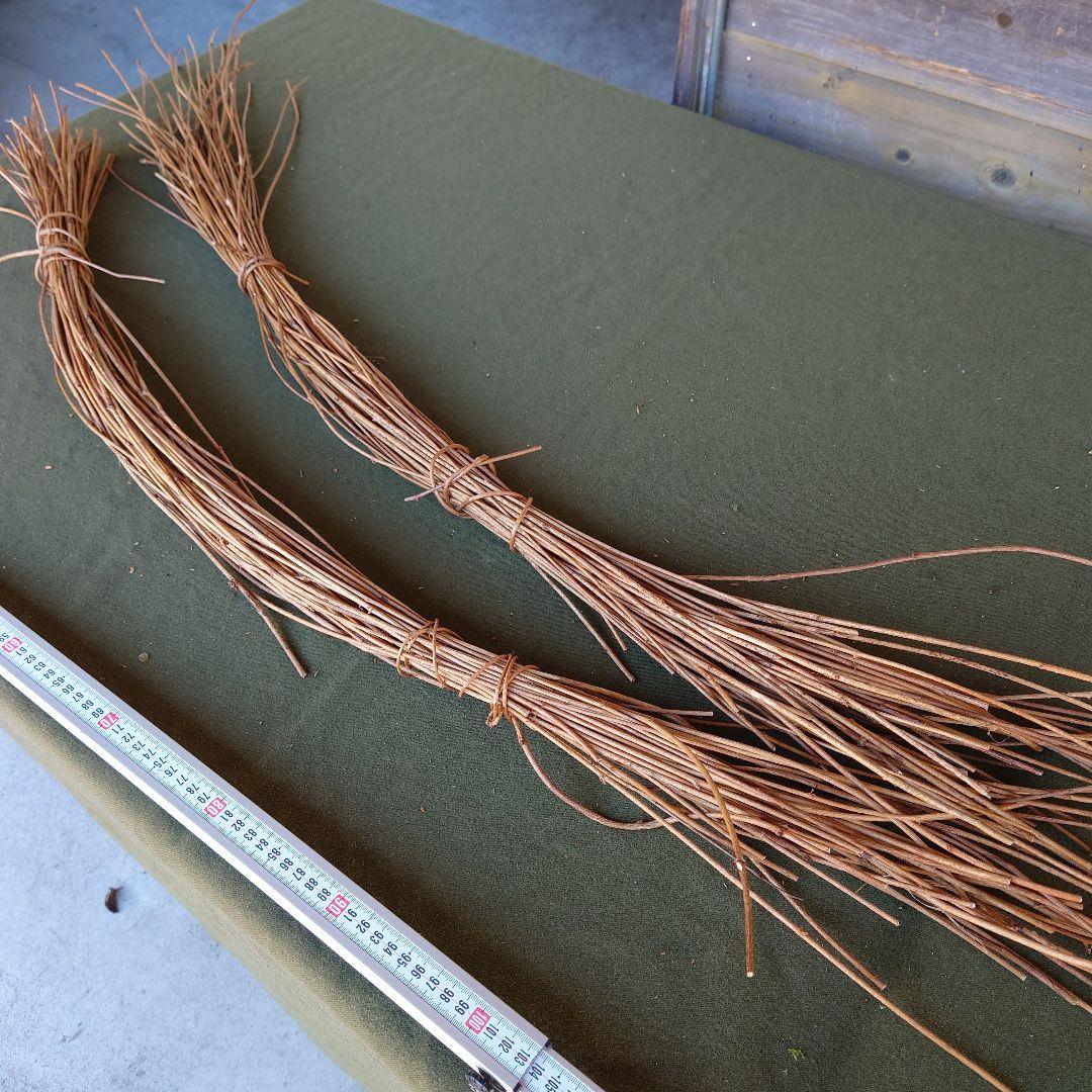 アケビの蔓(根蔓ランナー）