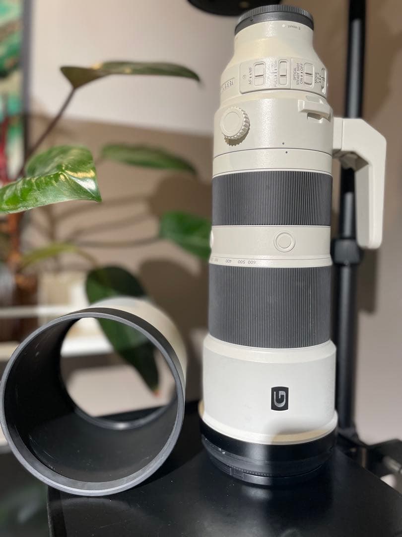 【美品】SONY FE 200-600mm F5.6-6.3 G OSS