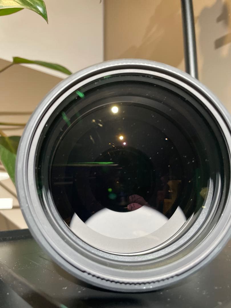 【美品】SONY FE 200-600mm F5.6-6.3 G OSS