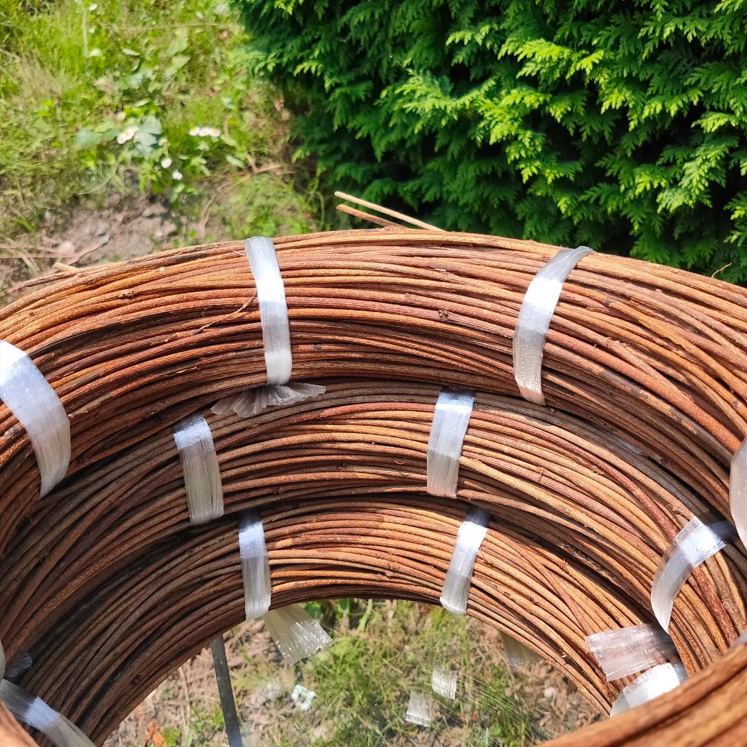 (委託品)青森県岩木山採取　あけび蔓　150cm～　3kg