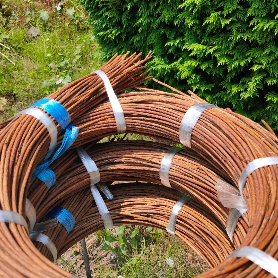 (委託品)青森県岩木山採取　あけび蔓　150cm～　3kg