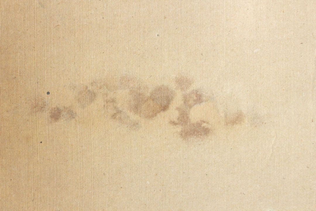 No5215 掛軸　在銘　雅邦　山水、飛鶴図　着色絹本　日本画　古美術　送料無料