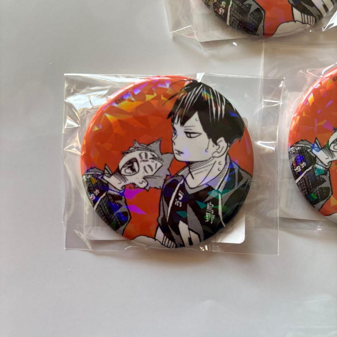 ハイキューゴミ捨て場の決戦　日向翔陽　影山飛雄14個セット