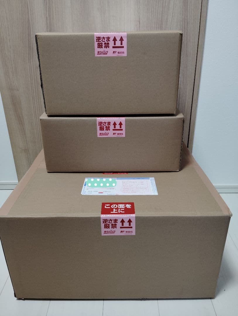 【SpiceSeed】北斗の拳　レイ （黒髪）単品　スパイスシード