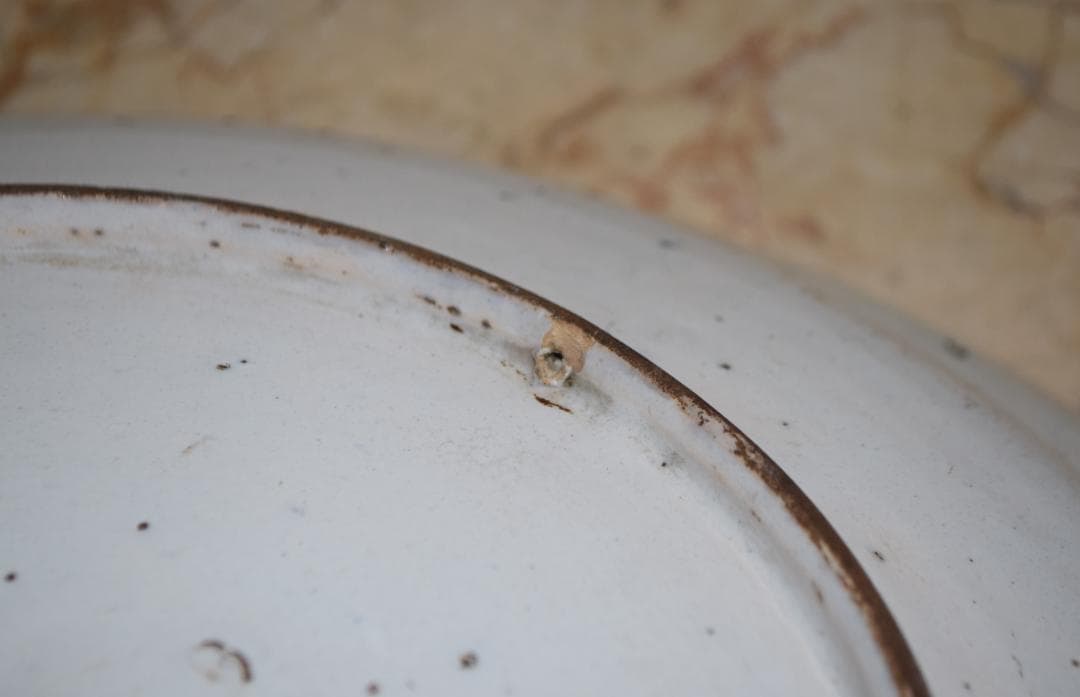 18世紀（1750年–1780年頃）デルフト チャージャー（壁掛皿）