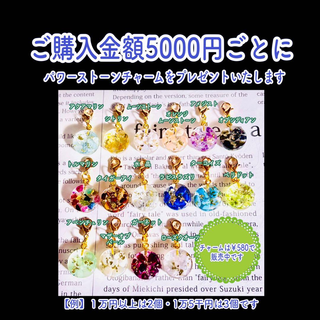 natsuさまオーダー＊白蛇御守り＊五つ葉のクローバー❷キーホルダー