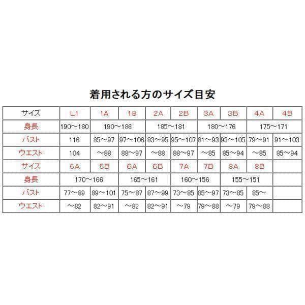 夏４A 陸上自衛隊 リップストップ 迷彩服　　陸自 コンバットシャツの元に.