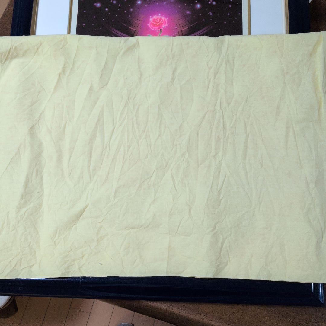 美女と野獣 限定版アート 518/555