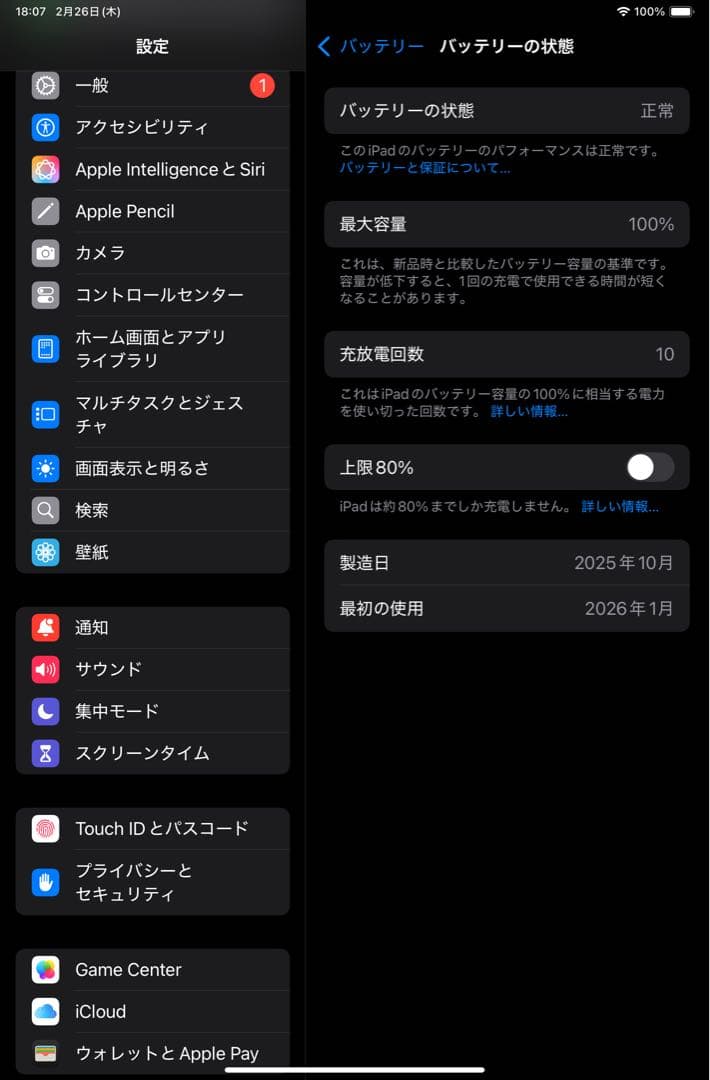 Apple iPad mini スペースグレー