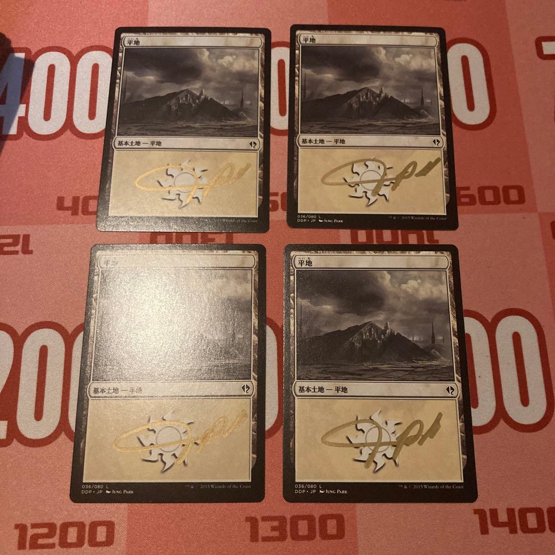 MTG 基本土地　平地　沼　Jung Park サインド　15枚