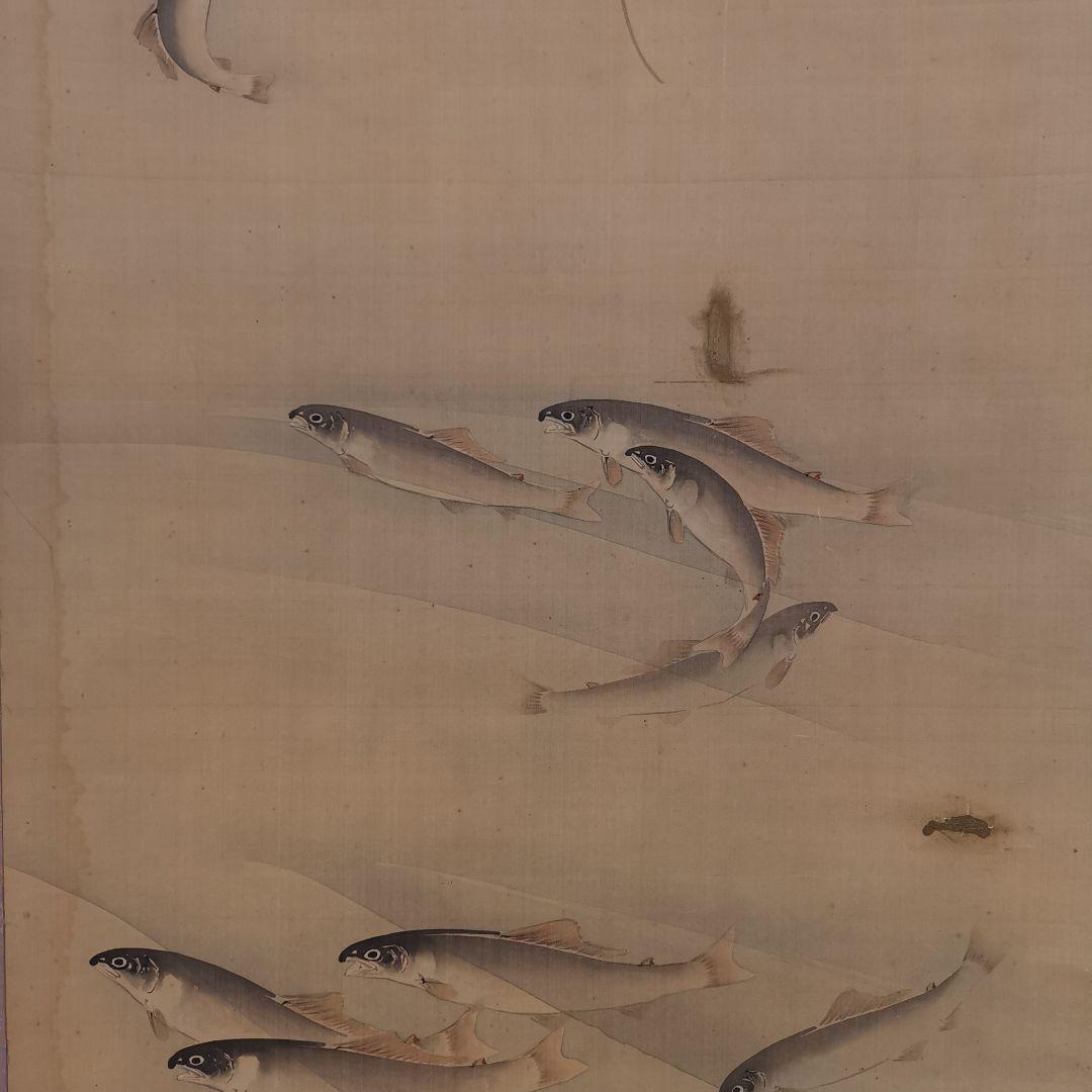 絹本 西脇雲渓画 肉筆 真作  「樹下渓流のあゆの図」194x51cm