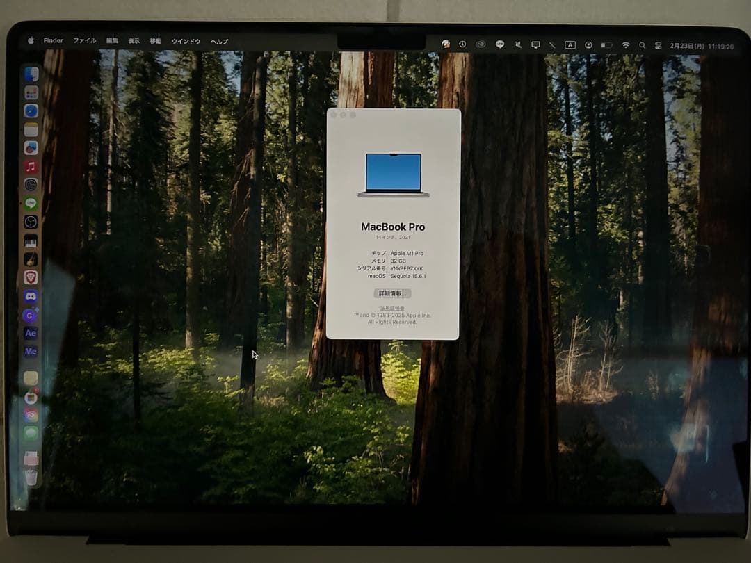 【ジャンク品】MacBook Pro(充電器付き)