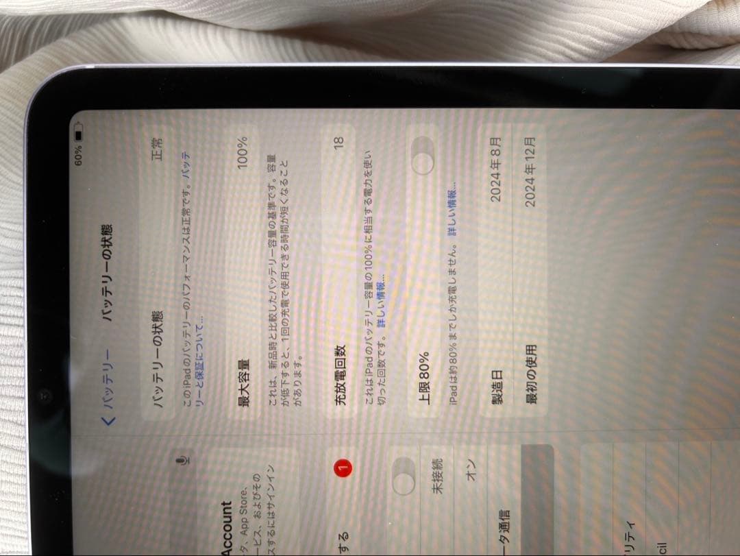 iPad mini a17 pro カバー付き