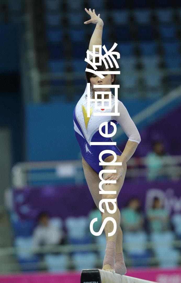 女子体操写真セット BD-R 2018年アジア大会 全日本 高画質！8800枚