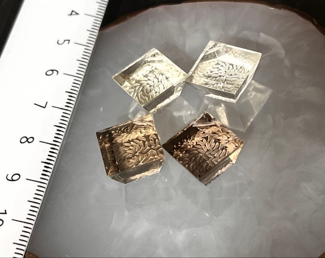 まるでジュエリー♡シャンパンクォーツバックカービングピアス