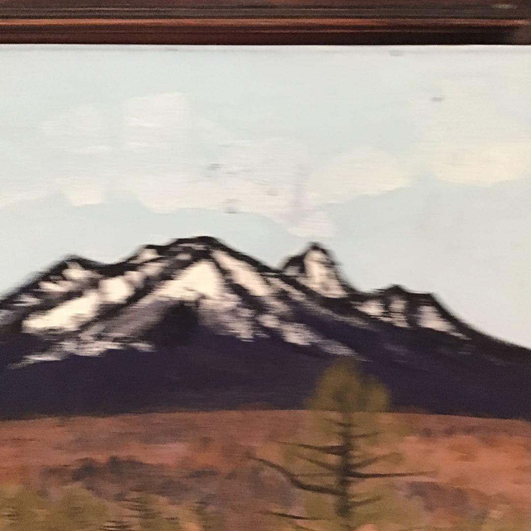 ❣️お値下げ❣️色紙　絵画　八ヶ山