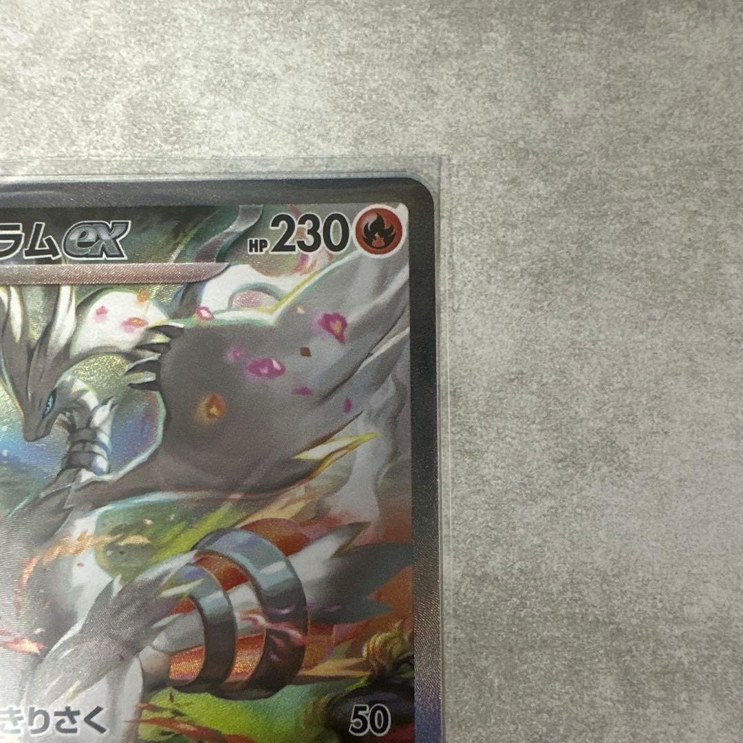 【超激レア素体】【センタリング・傷了解】レシラムEX SAR