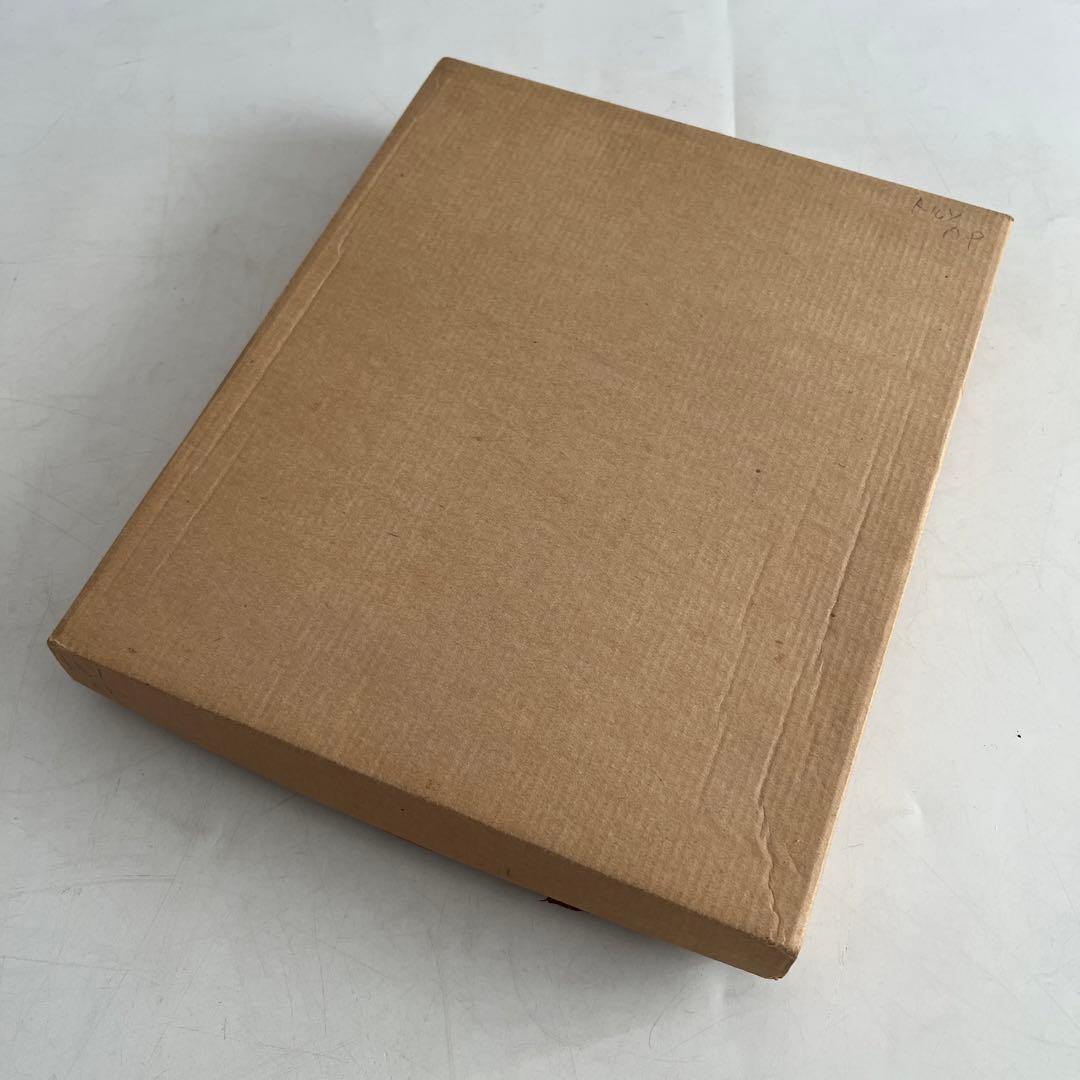 新品 作家 横地洋司 D.P. 「トルソ」1993年 画廊 現代画家 愛知