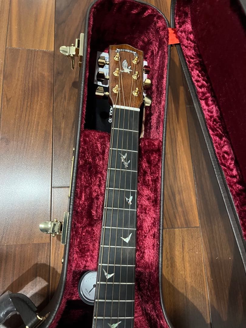 Greven Japan Oshio-DC HR 押尾コータロー