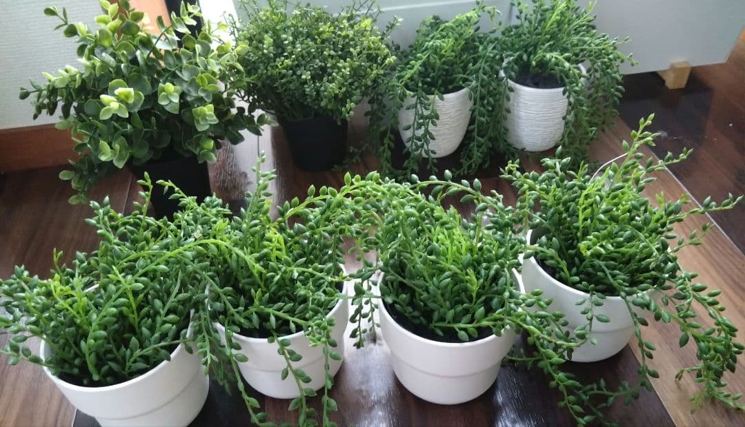 まとめ売り★IKEA フェイクグリーン フェイカ 観葉植物 植木鉢 鉢 プランタ