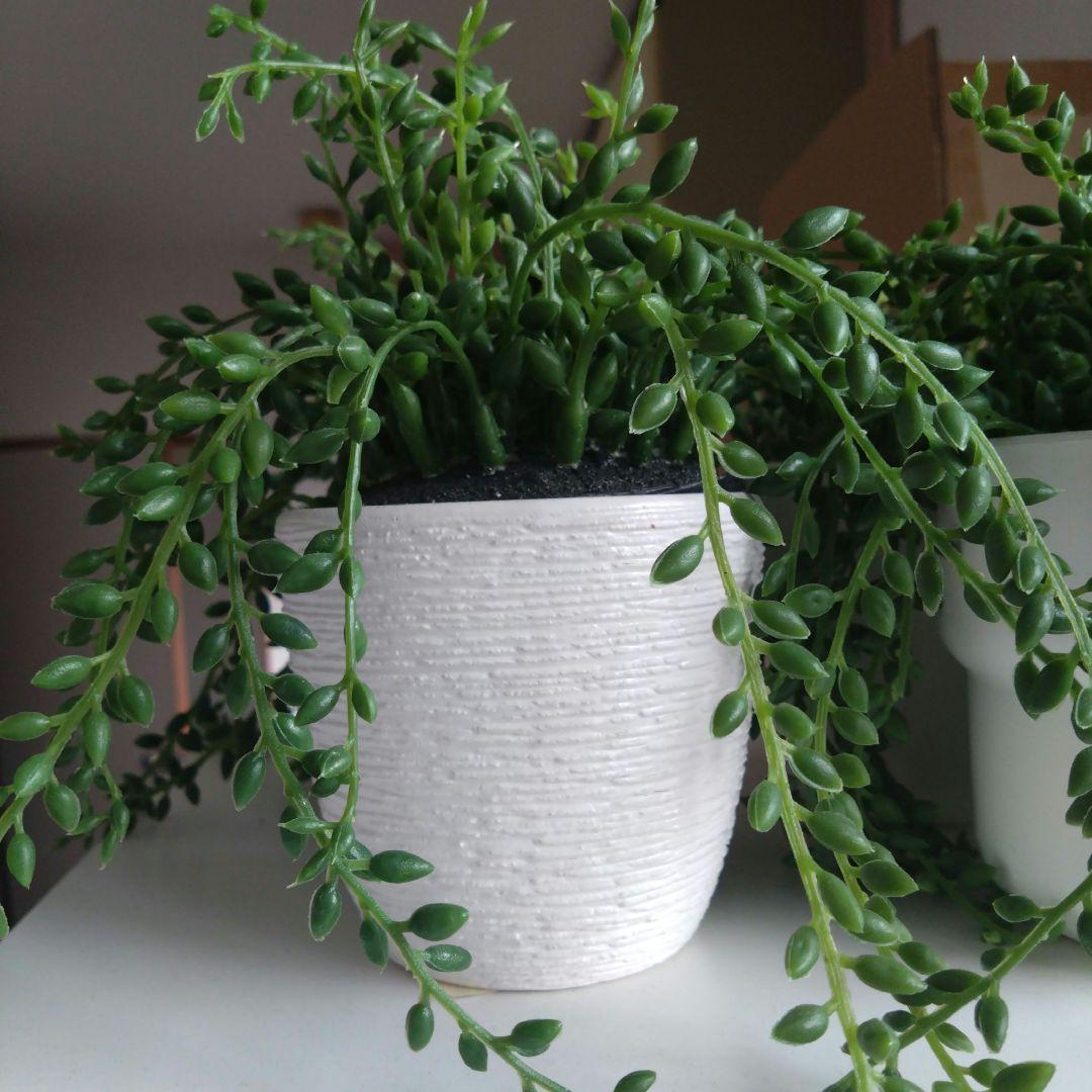 まとめ売り★IKEA フェイクグリーン フェイカ 観葉植物 植木鉢 鉢 プランタ