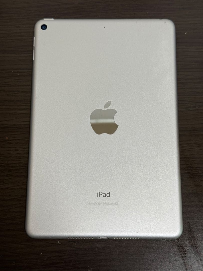 Z*W様 iPad mini第5世代本体とおまけ付き