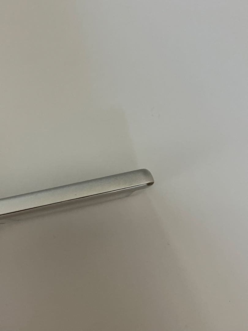 ソニーウォークマン SONY NW-S774/W スピーカー　本体カバー付き